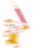 亚运火炬传递章